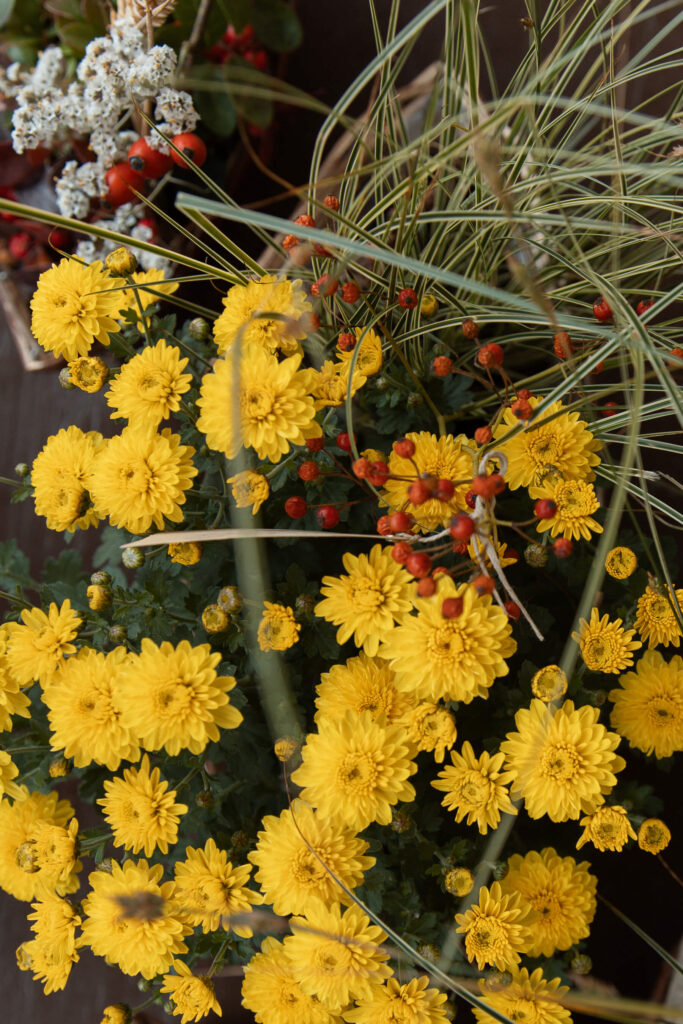 Blumen_2